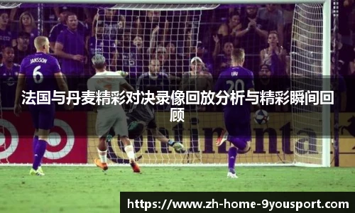 法国与丹麦精彩对决录像回放分析与精彩瞬间回顾